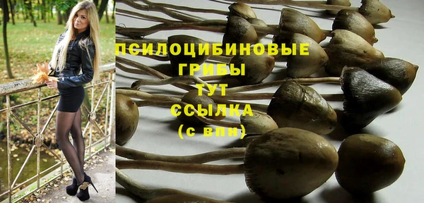 PSILOCYBIN Волоколамск