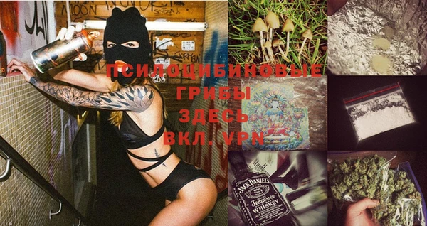 PSILOCYBIN Вяземский