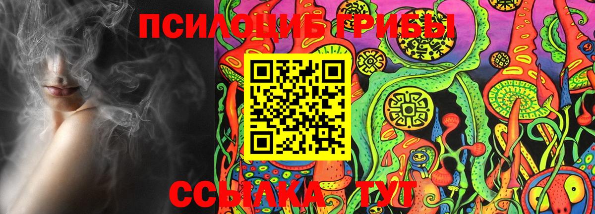 купить  цена  Выкса  Галлюциногенные грибы Psilocybine cubensis 