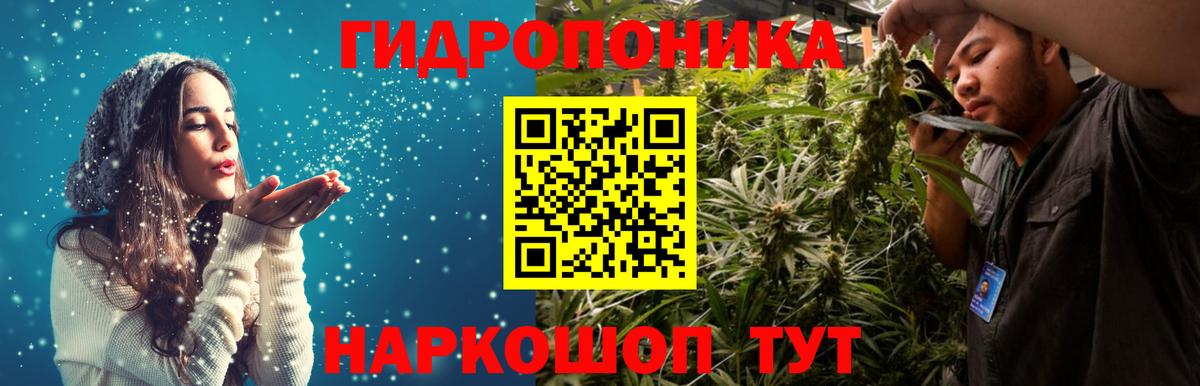 Бошки марихуана конопля  Вход с VPN  Выкса  Каннабис White Widow  Марихуана гибрид  Бошки марихуана OG Kush 